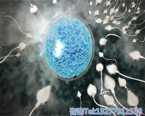 北京助孕医疗团队的专业配置与协作