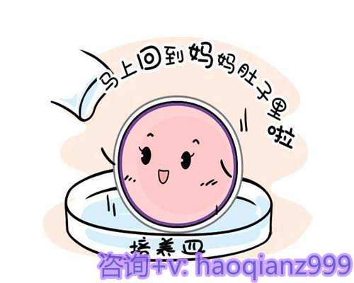 北京试管助孕机构选择指南：靠谱标准与成功经验